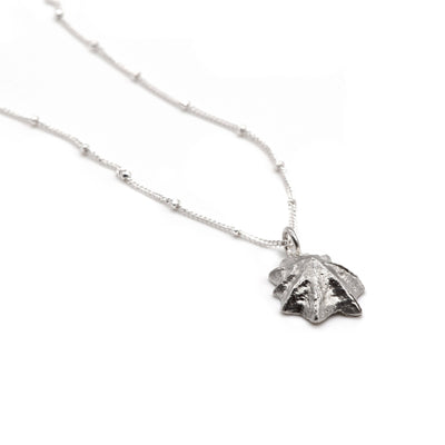 Silver Limpet Necklace